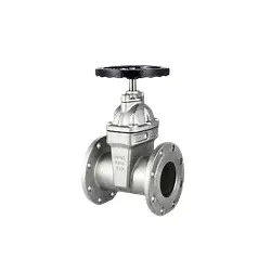 Stainless Steel Concealed Soft Seal Flange Gate Valve